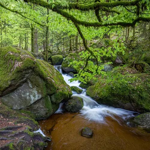 Gutschein Fotoworkshop