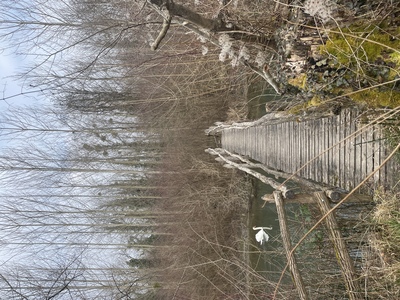 Einsame Bahnen – Tatjana Weis