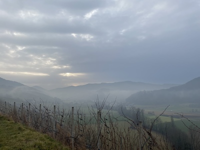 Früh am Morgen – Tatjana Weis