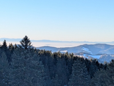 Alles mein Schwarzwald – Sylvia Seitz