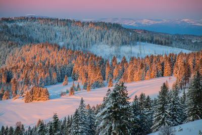 Morgenstund‘ – Bernd Schulz