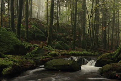 Nach dem Regen – Bernd Schulz