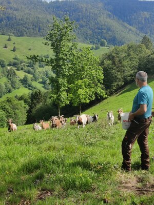 "Kummet" – Ann-Kathrin Turnbull