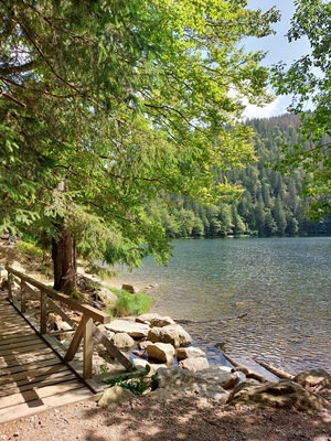 Feldsee – Dagmar Seitz