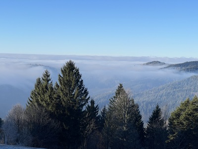 Blick Grindelhütte – Heike Wagener