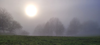 Reichentaler Obstwiesen – Birgitt Schürmann