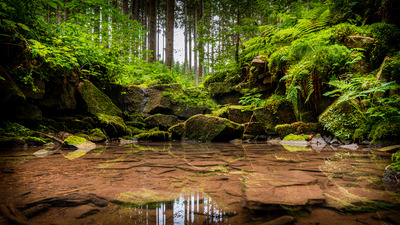 Rötenbachschlucht Bach – Tobias Bühler