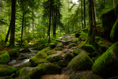 Gertelbachfälle – Markus Wiechert