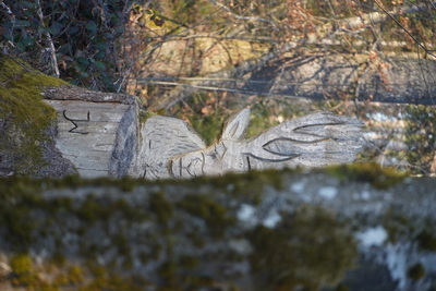 Wild im Wald – Agathe Patalas