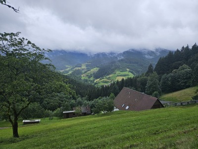 Sicht ins Tal – Nicole Kapfer