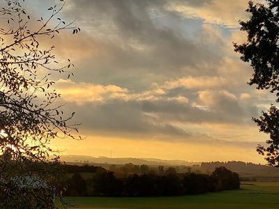 Fernblick – Barbara Mauritz