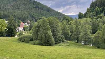 Friedrichstal – Elena Besch