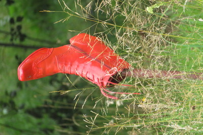 Überraschung im Tal X – Petra Kammler