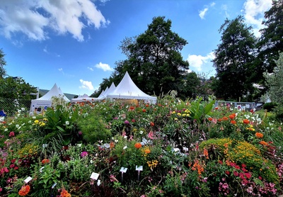 Entree X – Jutta Seidler