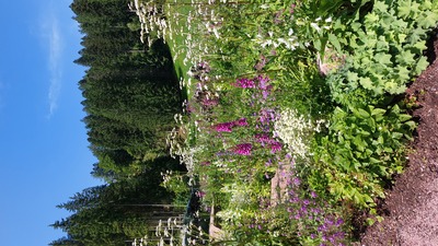 Schwarzwaldgarten – Julia Klingler