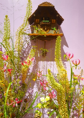 Kuckucksuhr – Martin Drollinger