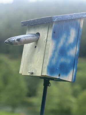 Das Fischhaus – Lara Vorsthove