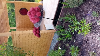 Bollenhut – Reni Trück