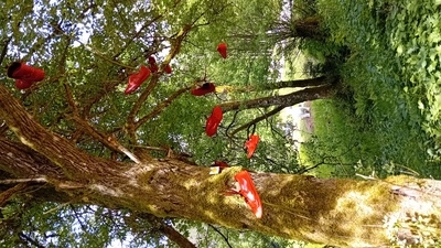 Sonnenspiel – Reni Trück