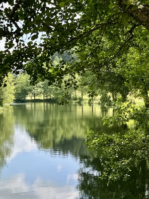 Wasserschatten – Sabine Armbruster