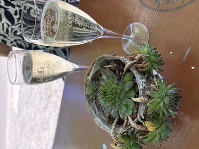 Auszeit – Susanne Lein