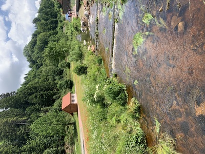 Wasseridylle – Ulrike Grupp