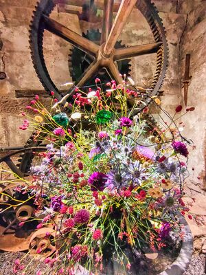 In der Tuchwalke – Frank Schenke