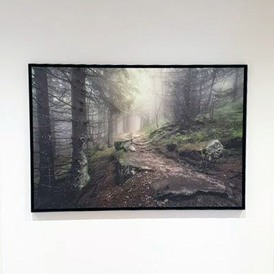 Hochwertiges Wandbild