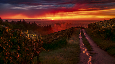 Sundowner – Michael Böhly