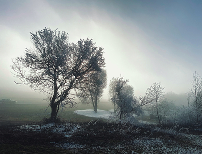 Februar auf der schwäbischen Alb – Ursula Vogler