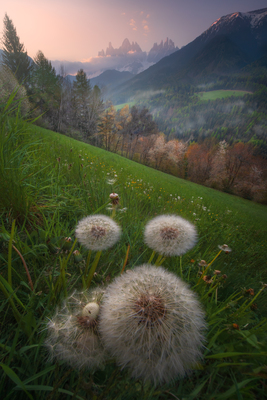 A distant dream – Markus Albert