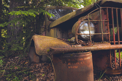 Zurück zur Natur – Tobias Bühler