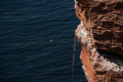 Das Netz – Callista Kapper-Beck