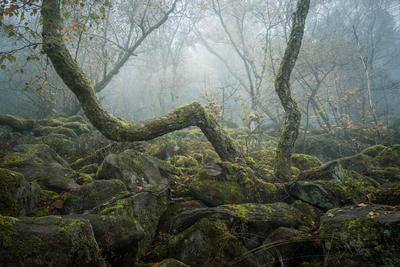 The Gate – Benjamin Höger