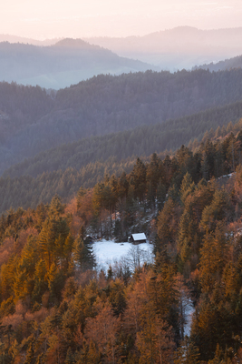 Schwarzwald – Sarah Schaufler