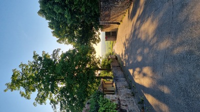 Sommerimpression – Susanne Stamp