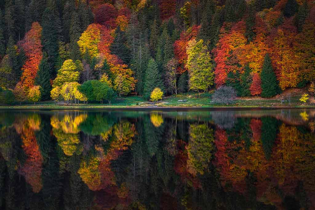 Die Schönheit des Hochschwarzwalds