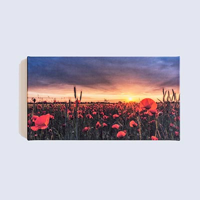 Gutschein Wandbild 80€