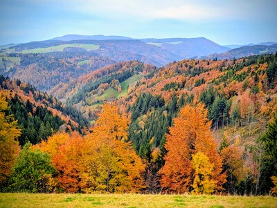 Herbstlicher Ausblick am Lachenhäusle – Katja Schwörer