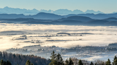 Dinkelberg im Nebel – Rainer Müller
