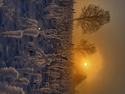 Good morning – Jutta Berner