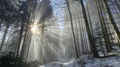 Engelsstrahlen am Zeller Blauen – Gerald Nill