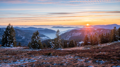 Feldberg in Golden Hour – Wei-Liang Lin