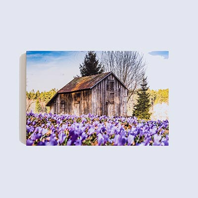 Gutschein Wandbild 50€