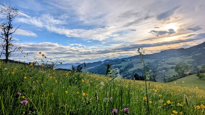 Blumenwiese am Köpfle – Andreas Lehmann