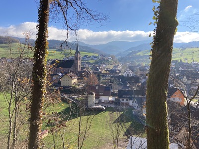 Blick aufs Dorf – Michael Schöner