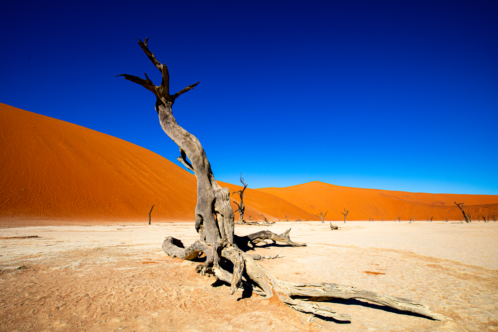 AFRIKA! - Fotowettbewerb der 7. Fototage Freinsheim