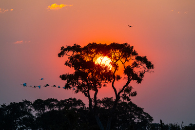 Sonnenuntergang im Okavango-Delta – Heinrich Holland