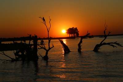 Sonnenuntergang auf dem Chobe-Fluss – Ulrike Greeb