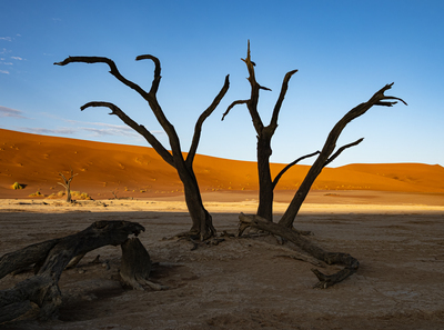 morgens im Deadvlei – Tina Kraus